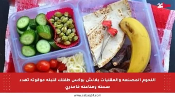 اللحوم المصنعة والمقليات بلانش بوكس طفلك قنبلة موقوتة تهدد صحته ومناعته فاحذري